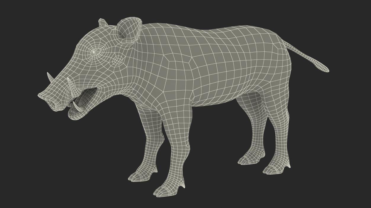 Southern Warthog Rigged for Maya 3D