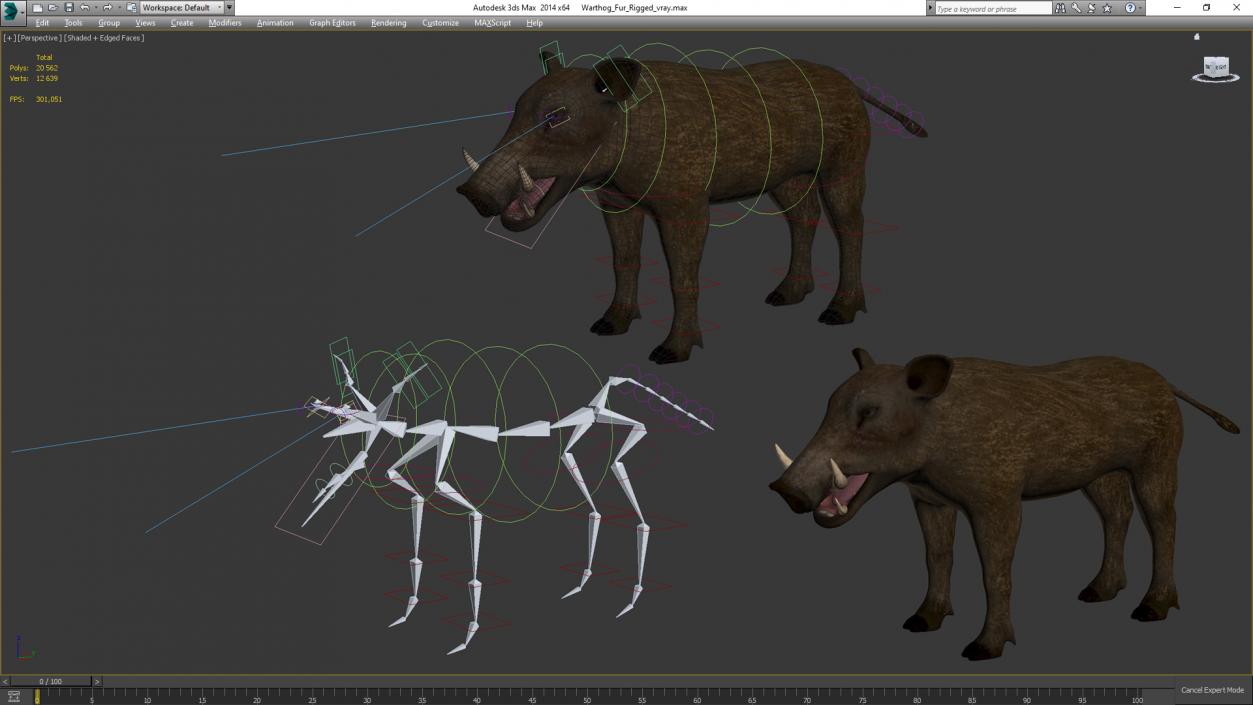 Southern Warthog Rigged for Maya 3D