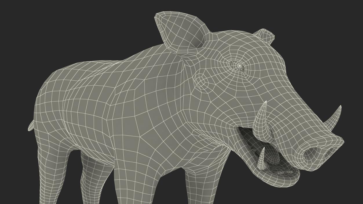 Southern Warthog Rigged for Maya 3D