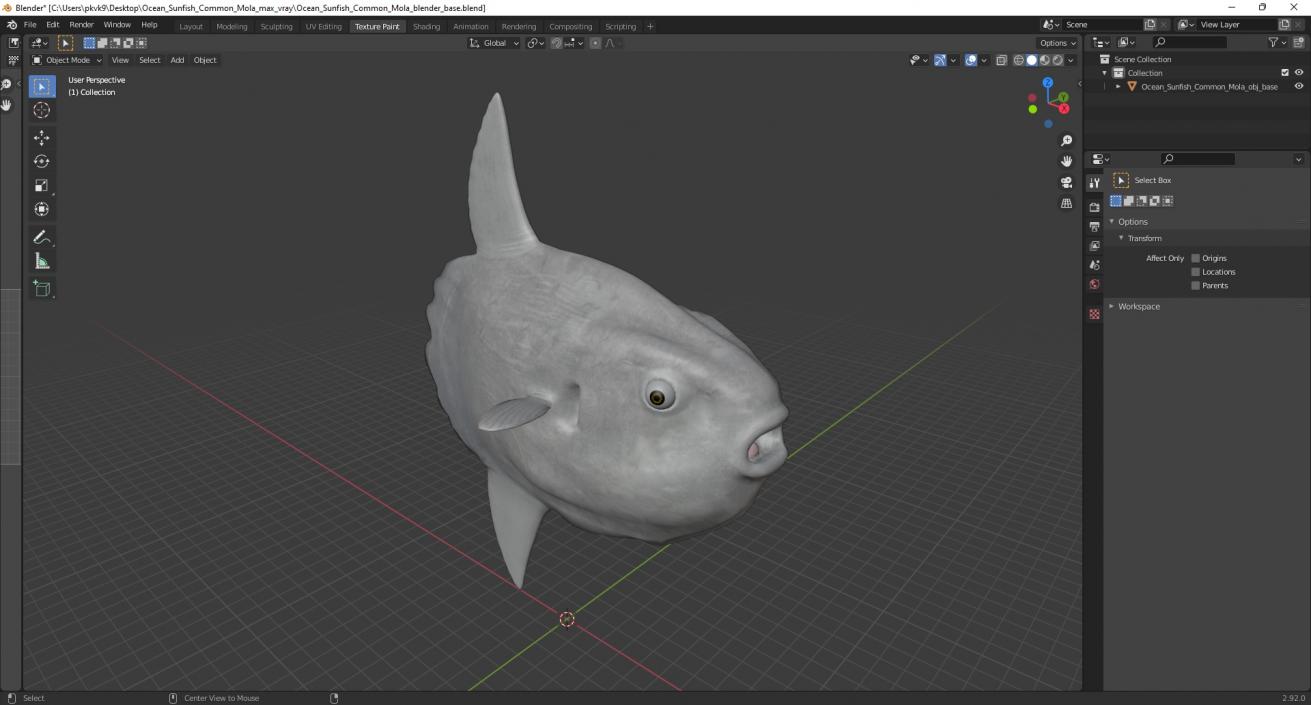 3D model Ocean Sunfish Common Mola