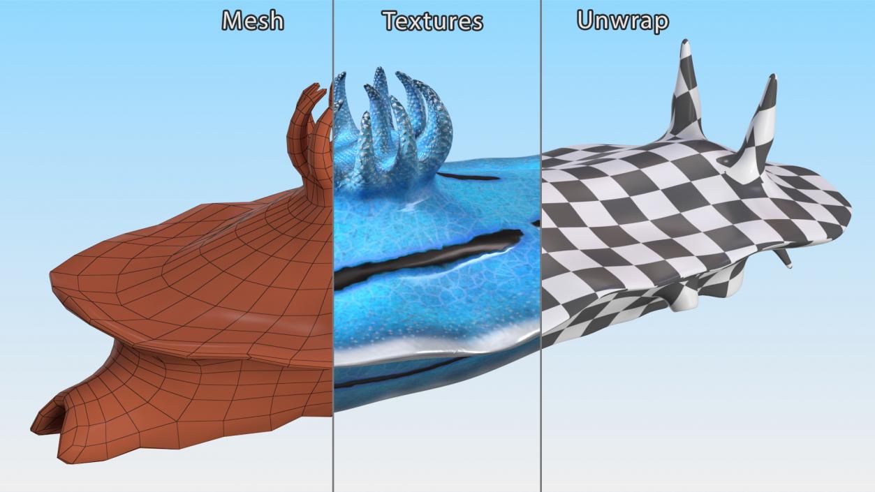 3D model Blue Sea Slug Rigged