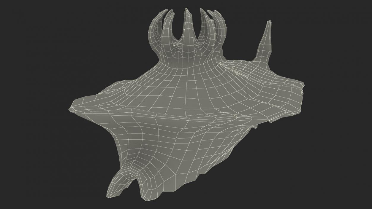 3D model Blue Sea Slug Rigged