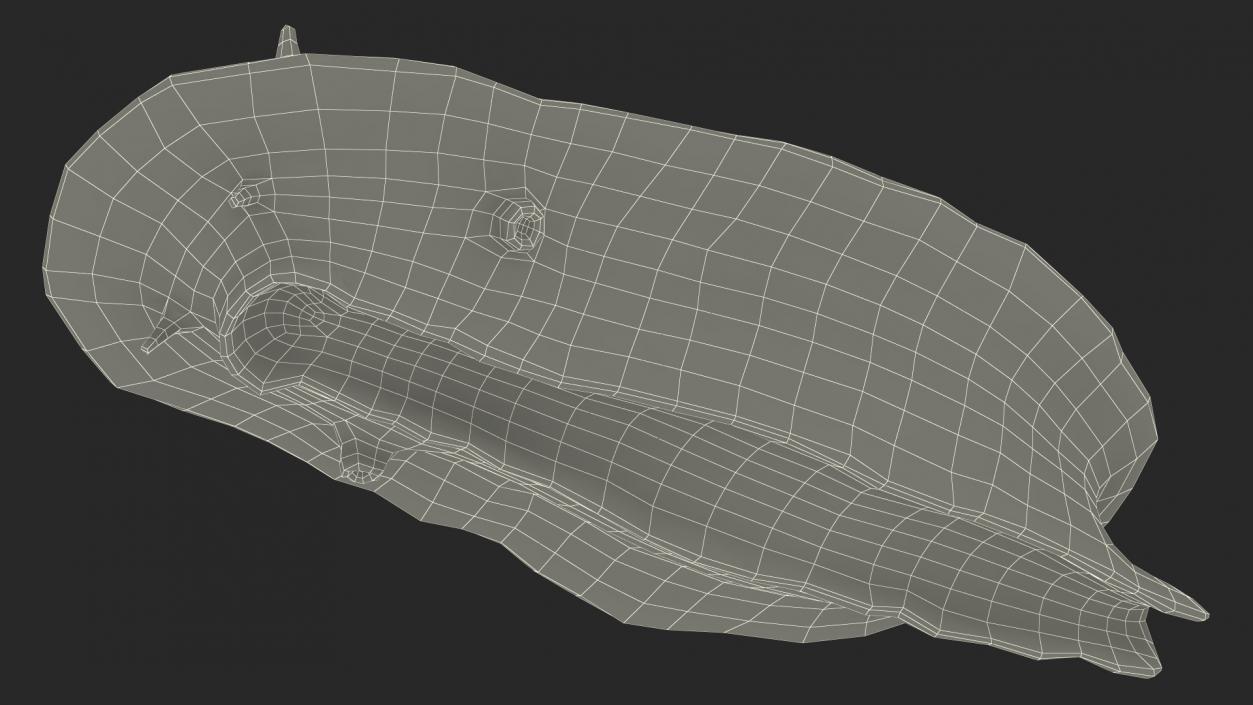 3D model Blue Sea Slug Rigged