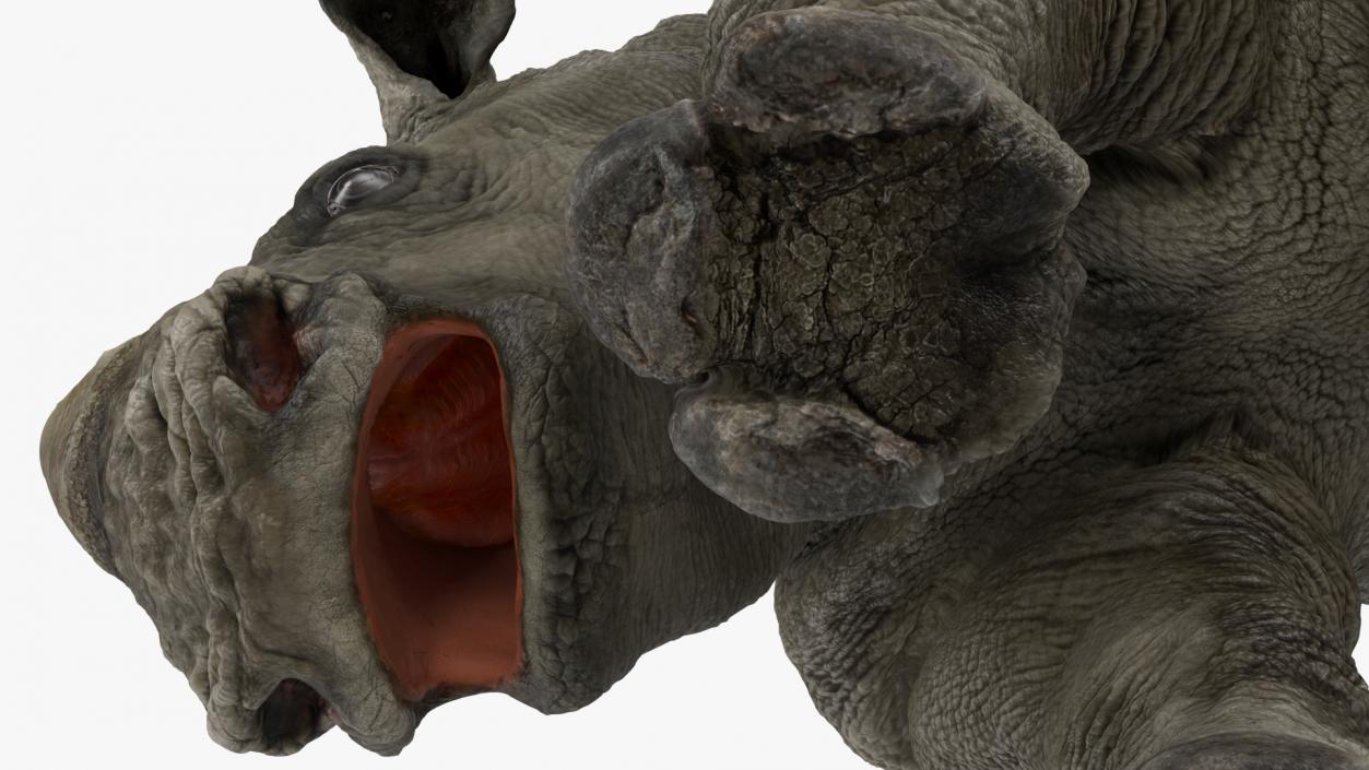 Rigged Rhinos Collection 3D model