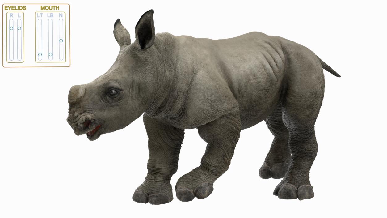 Rigged Rhinos Collection 3D model