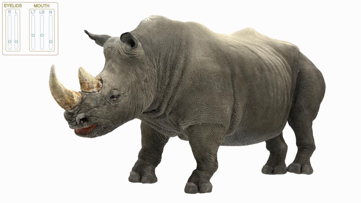 Rigged Rhinos Collection 3D model