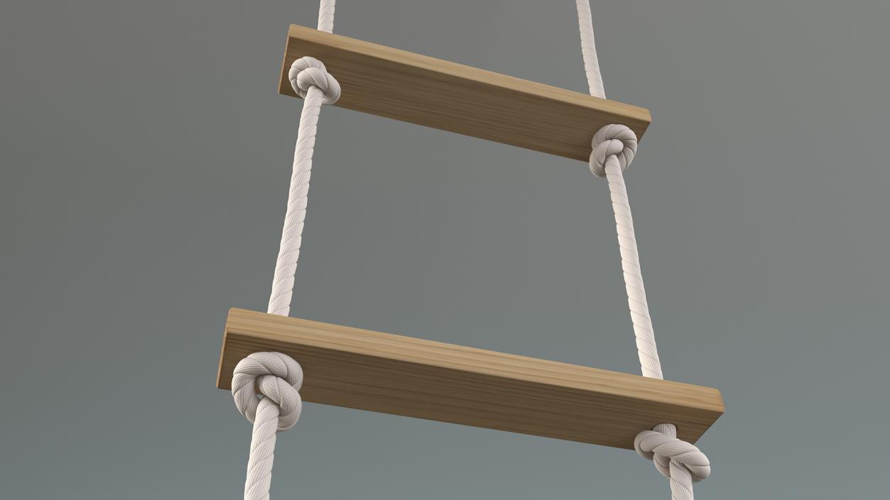 Rope Ladder with Wooden Rungs 3D model