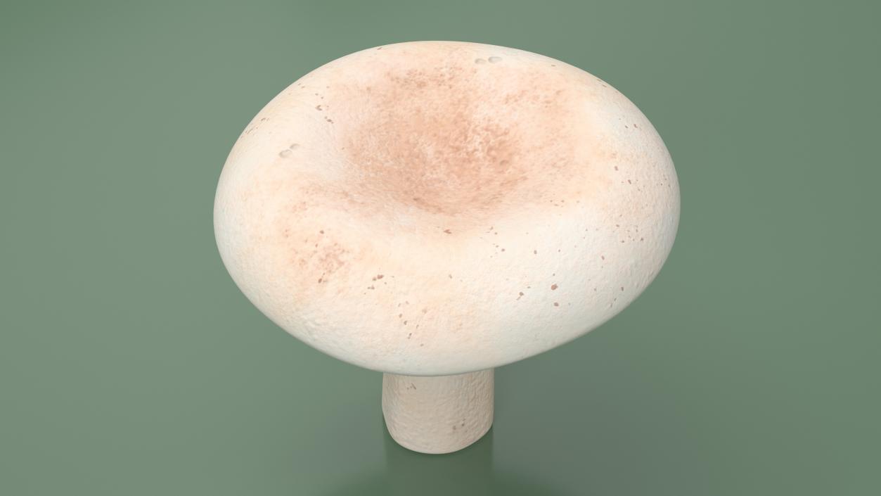 3D Milk Mushroom model