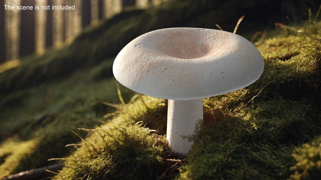 3D Milk Mushroom model