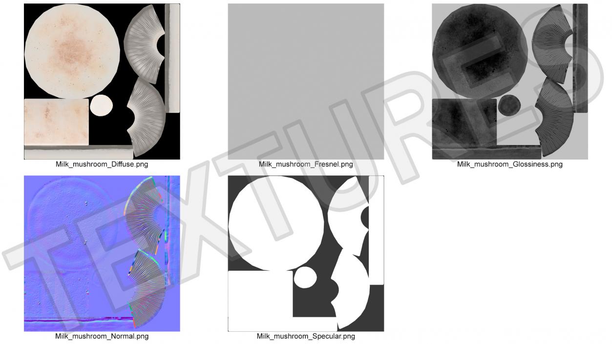 3D Milk Mushroom model