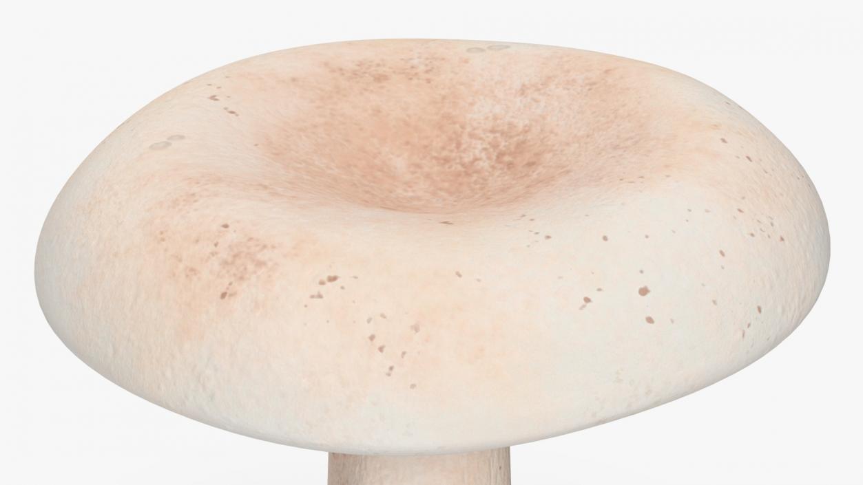 3D Milk Mushroom model