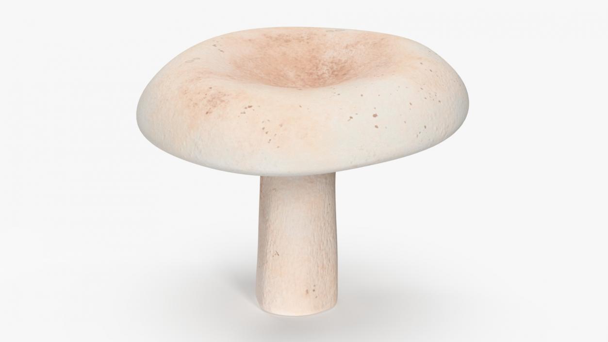 3D Milk Mushroom model