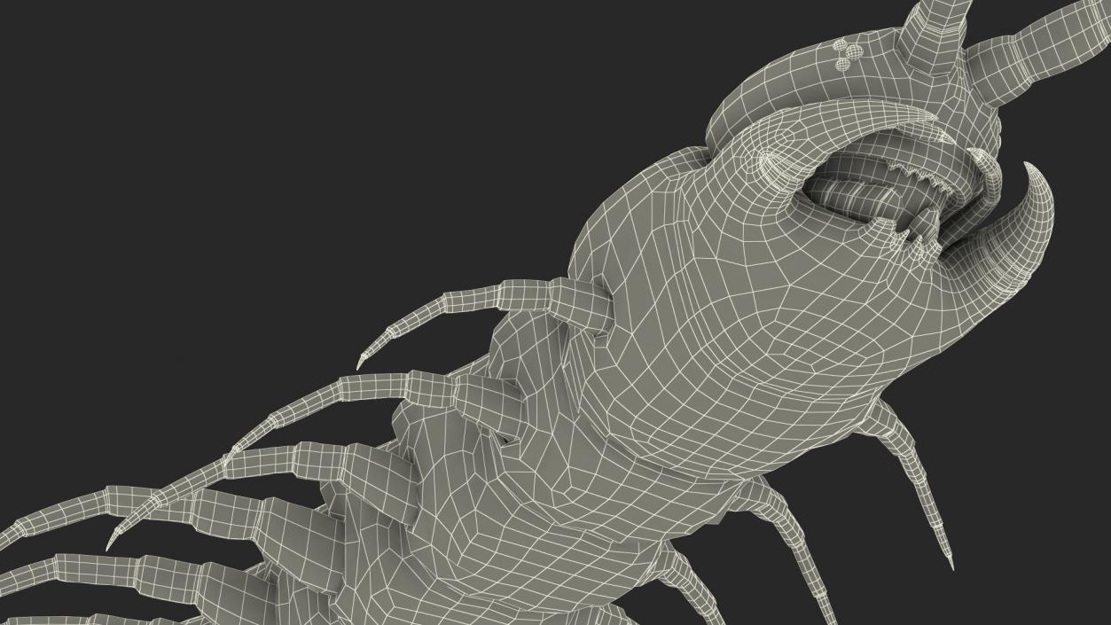 Giant Desert Centipede Rigged 3D model