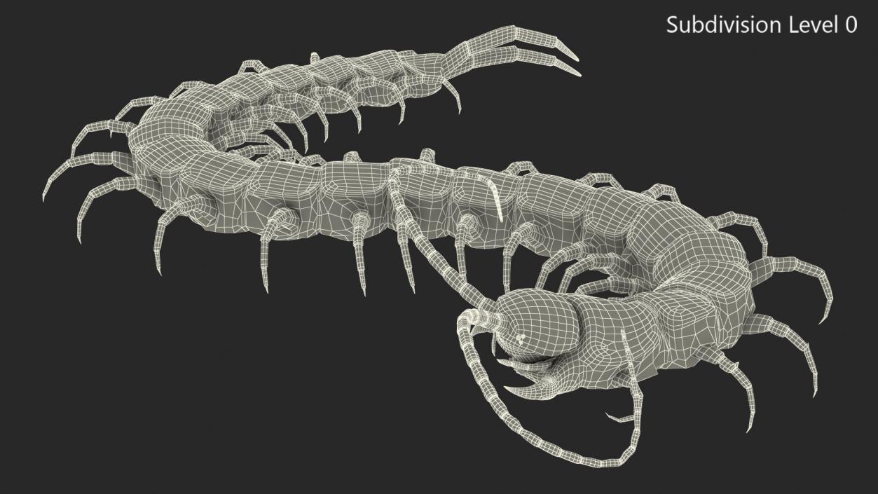 Giant Desert Centipede Rigged 3D model