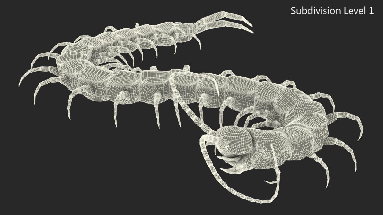 Giant Desert Centipede Rigged 3D model