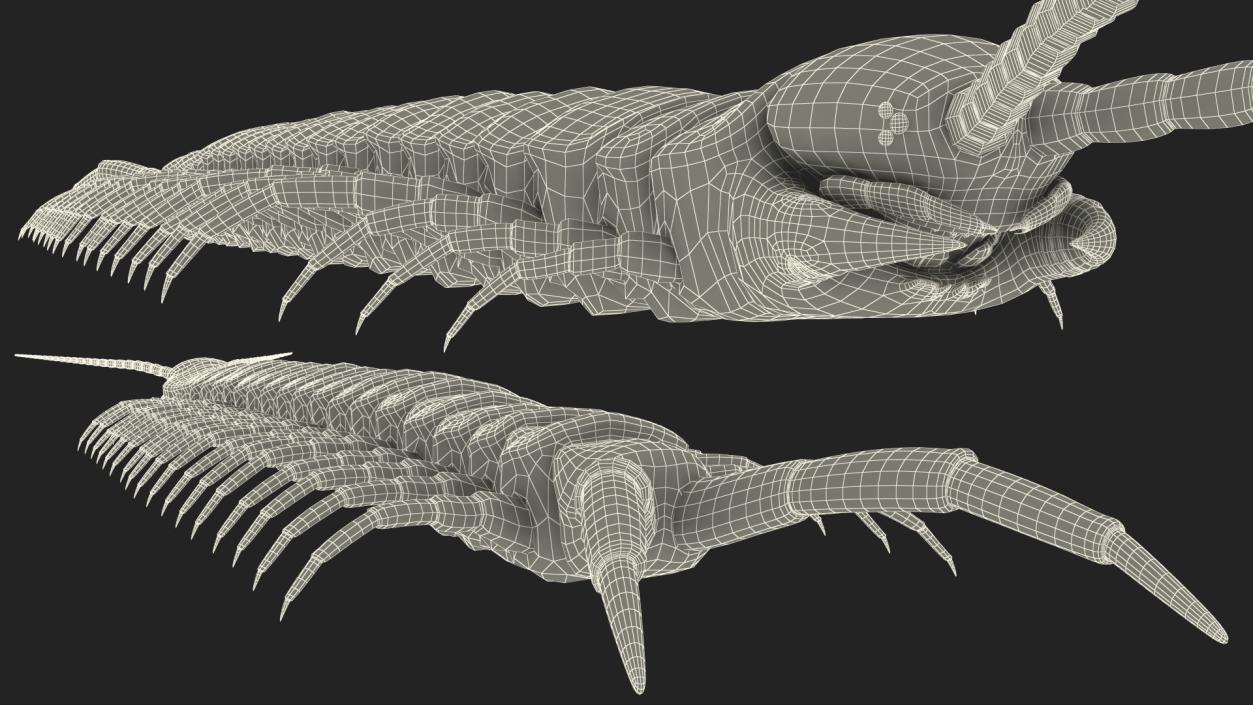 Giant Desert Centipede Rigged 3D model