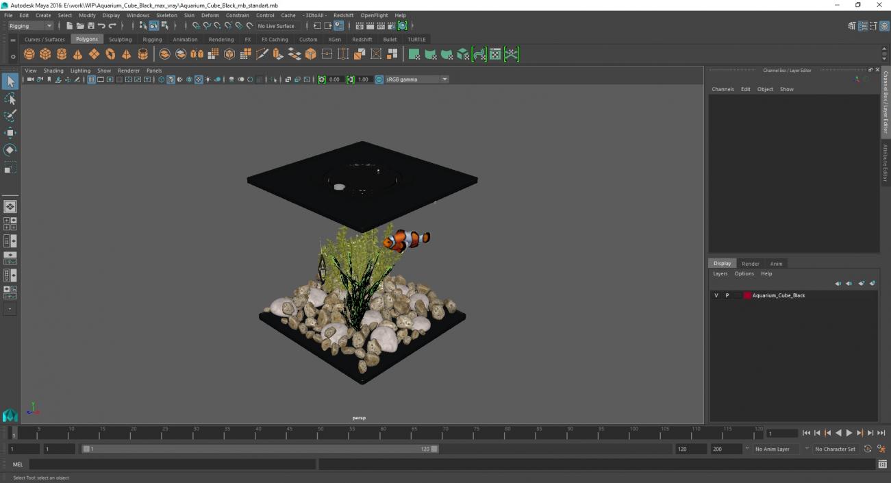 Aquarium Cube Black 3D model