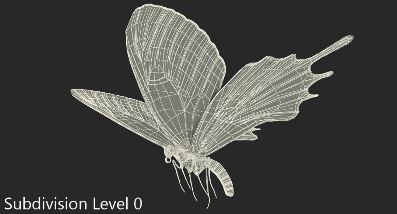 3D Bhutanitis Lidderdalii or Bhutan Glory Butterfly model