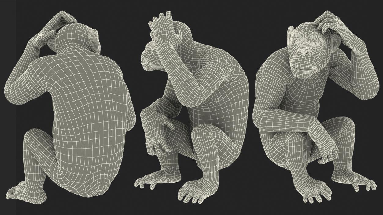 3D Dark Chimpanzee Sitting model