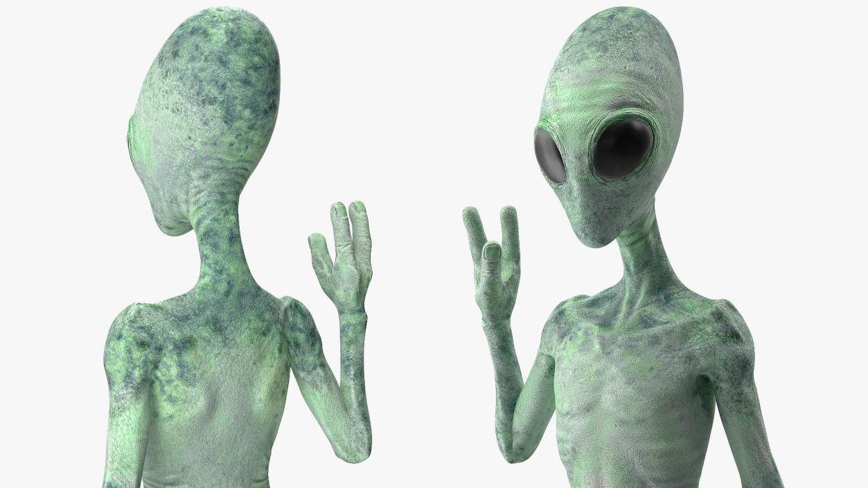 3D Green Alien Rigged model