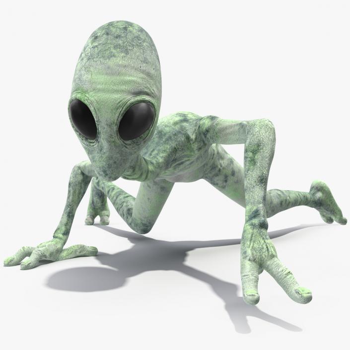 3D Green Alien Rigged model