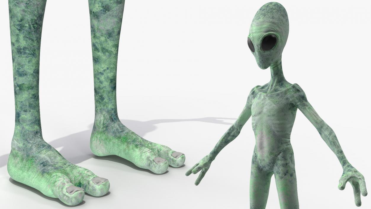 3D Green Alien Rigged model