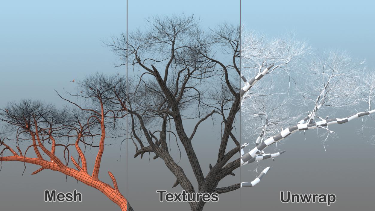 3D model Winter Trees Collection 4