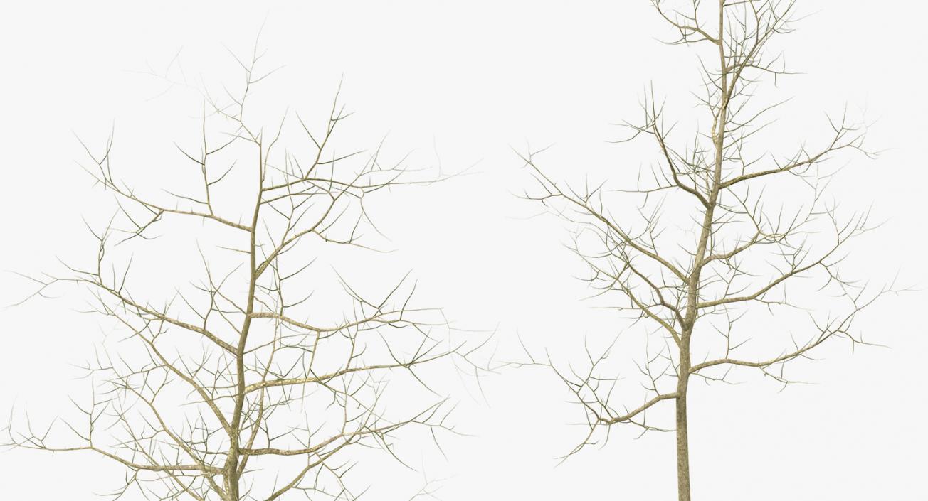 3D model Winter Trees Collection 4