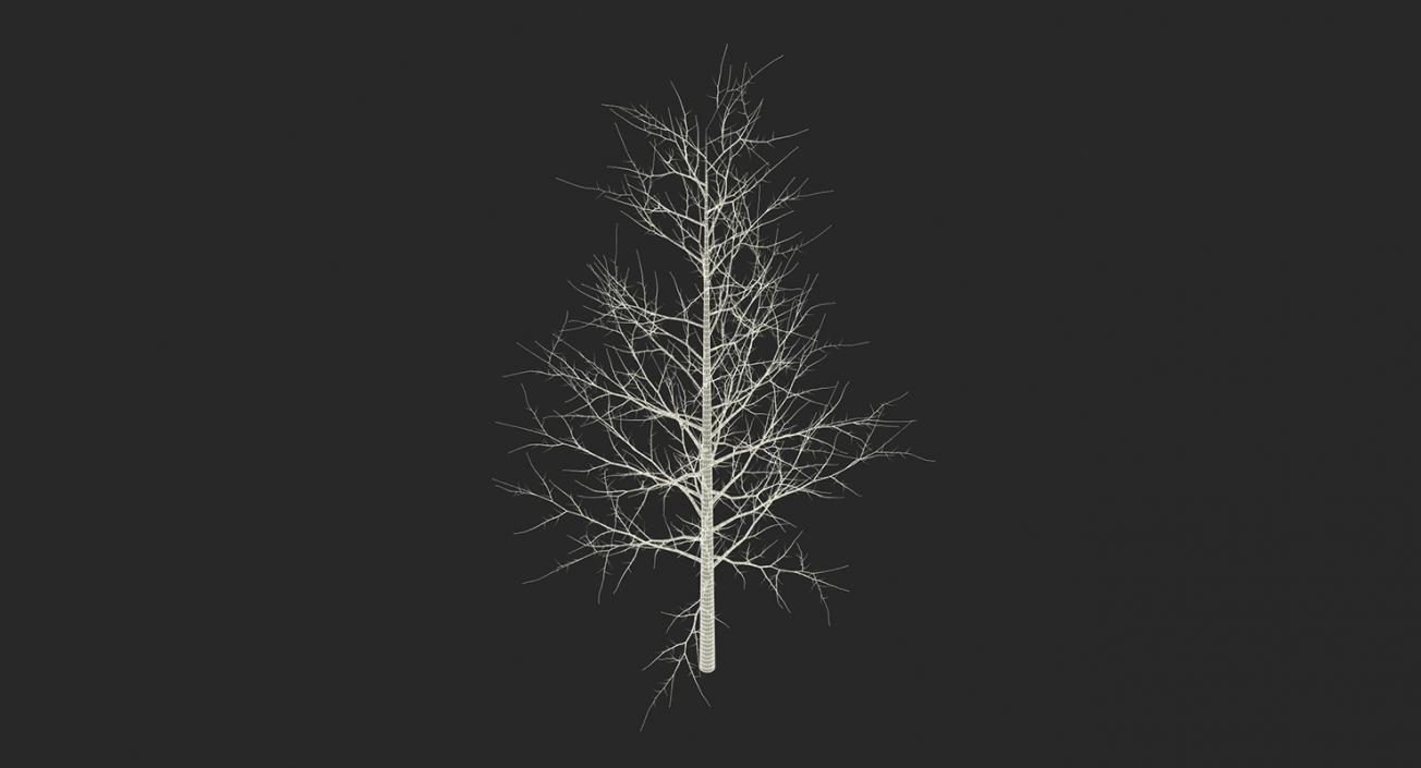 3D model Winter Trees Collection 4