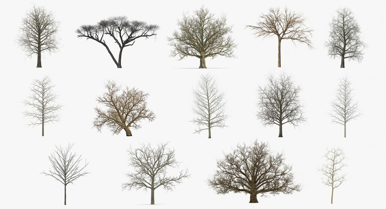 3D model Winter Trees Collection 4