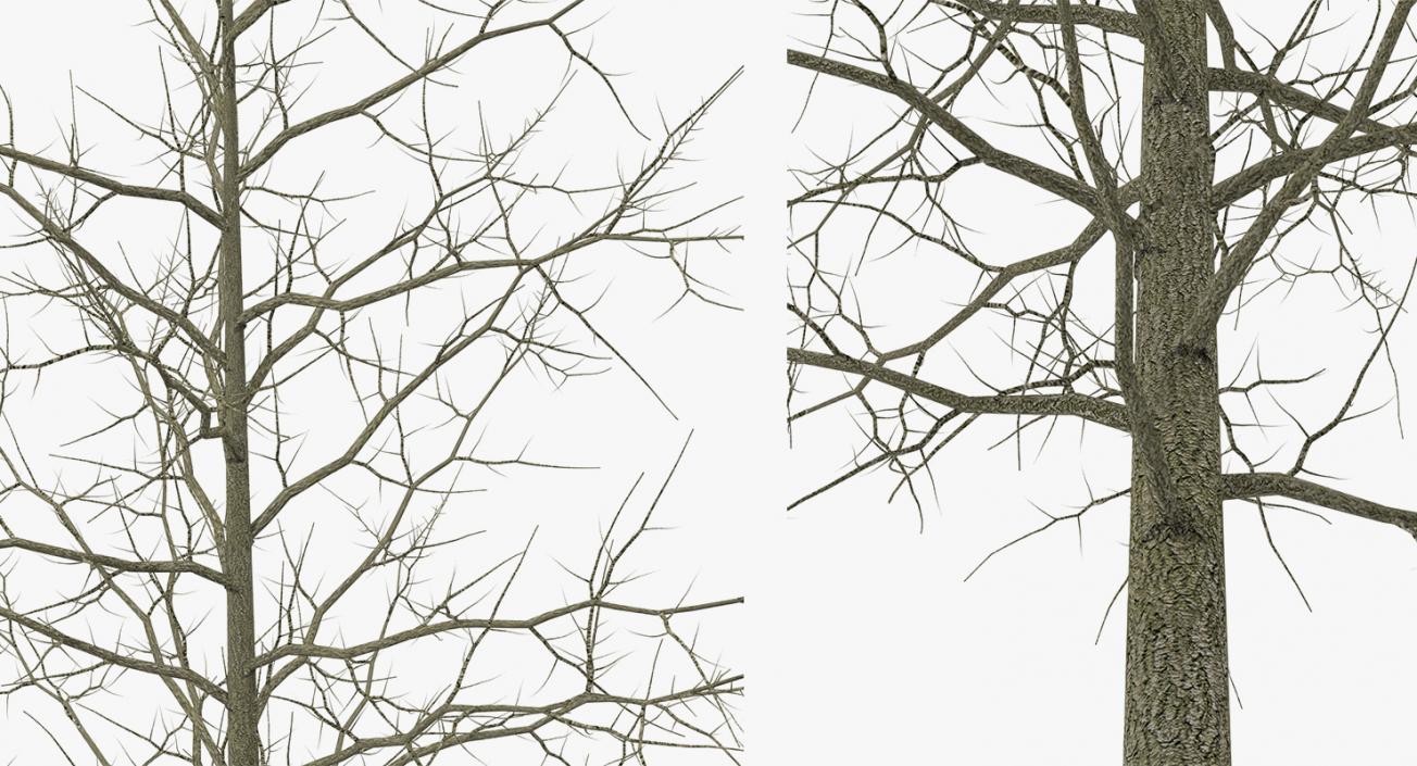 3D model Winter Trees Collection 4