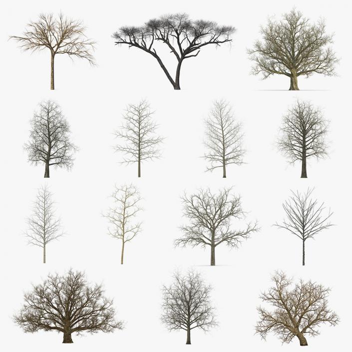 3D model Winter Trees Collection 4