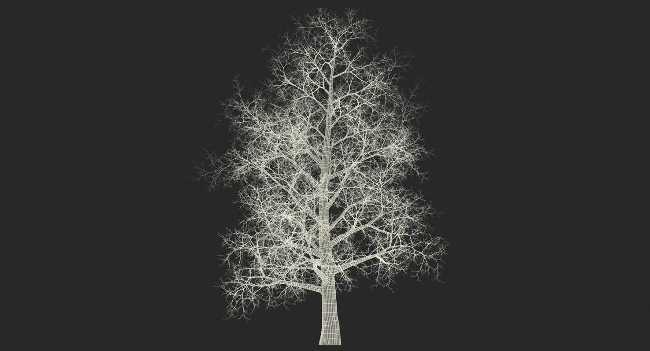 3D model Winter Trees Collection 4