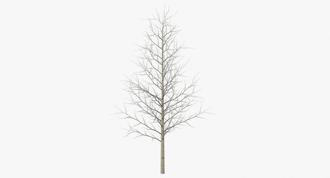 3D model Winter Trees Collection 4