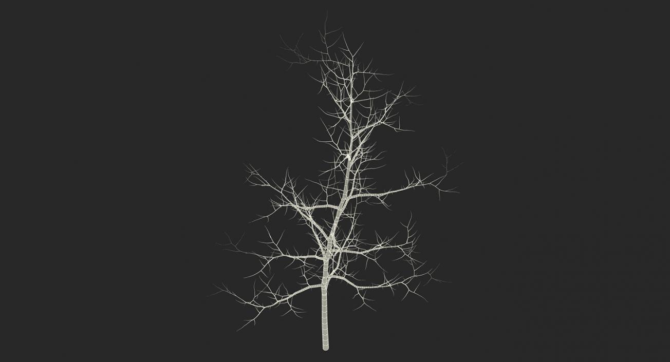 3D model Winter Trees Collection 4