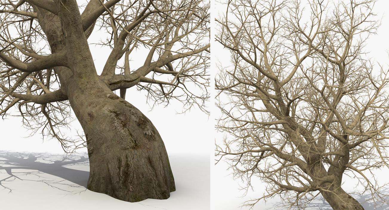 3D model Winter Trees Collection 4