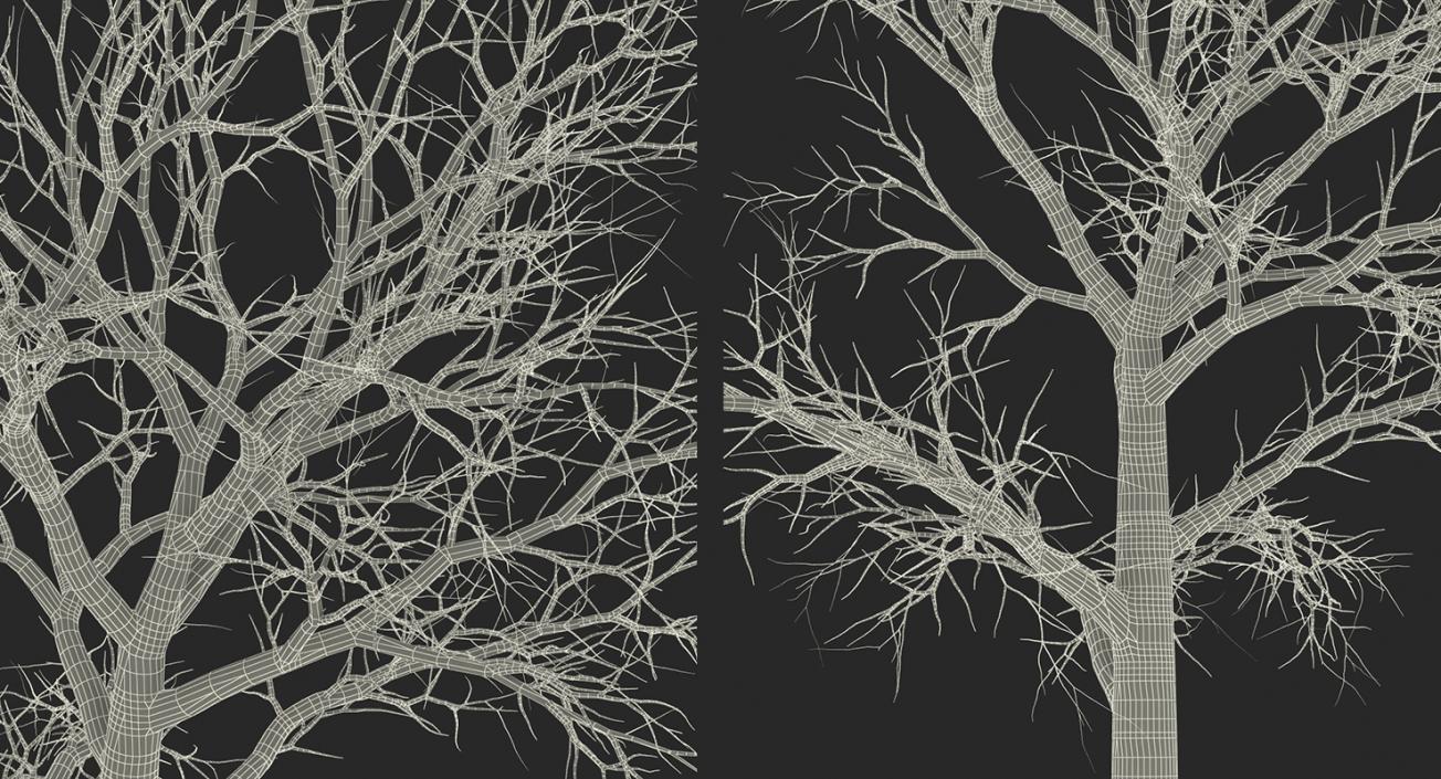 3D model Winter Trees Collection 4