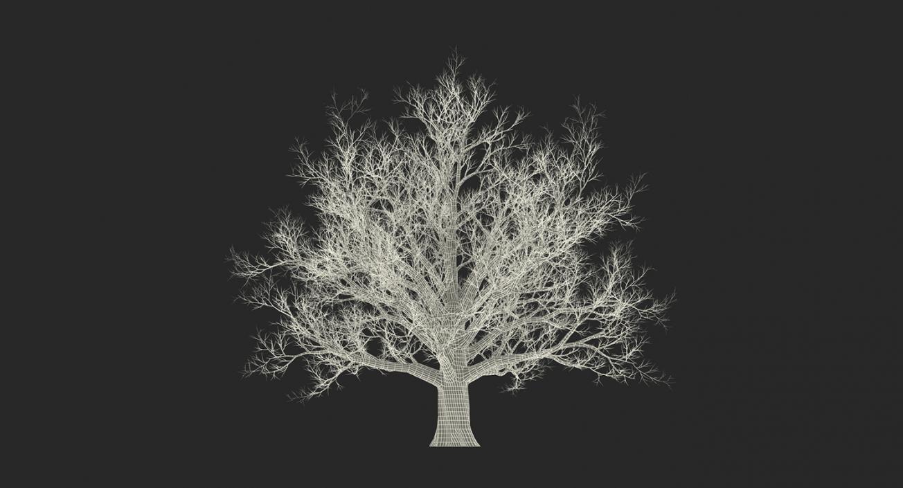 3D model Winter Trees Collection 4