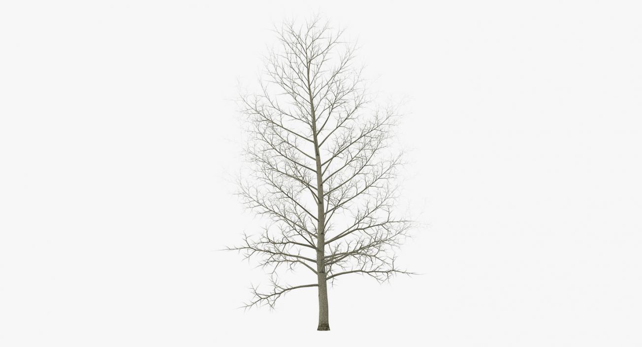 3D model Winter Trees Collection 4