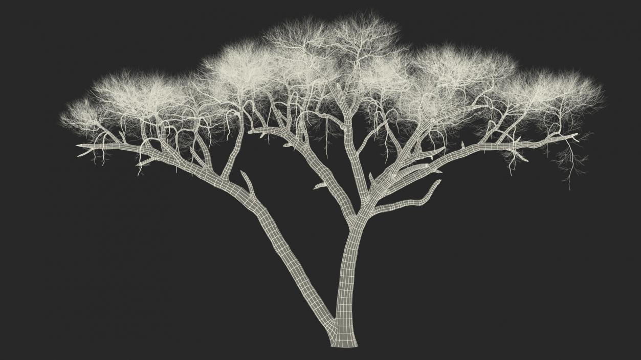 3D model Winter Trees Collection 4