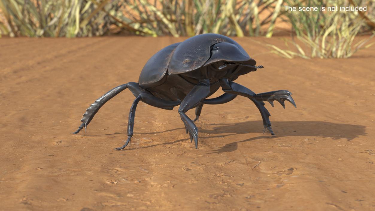 3D Mud Beetle Dirty Rigged model