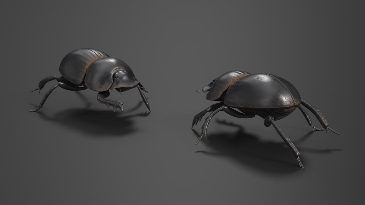 3D Mud Beetle Dirty Rigged model