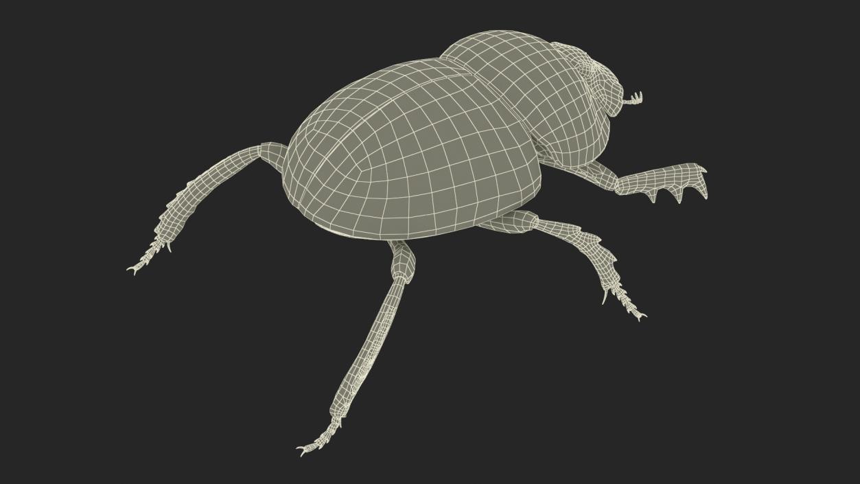 3D Mud Beetle Dirty Rigged model