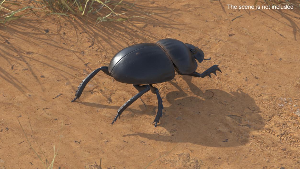 3D Mud Beetle Dirty Rigged model