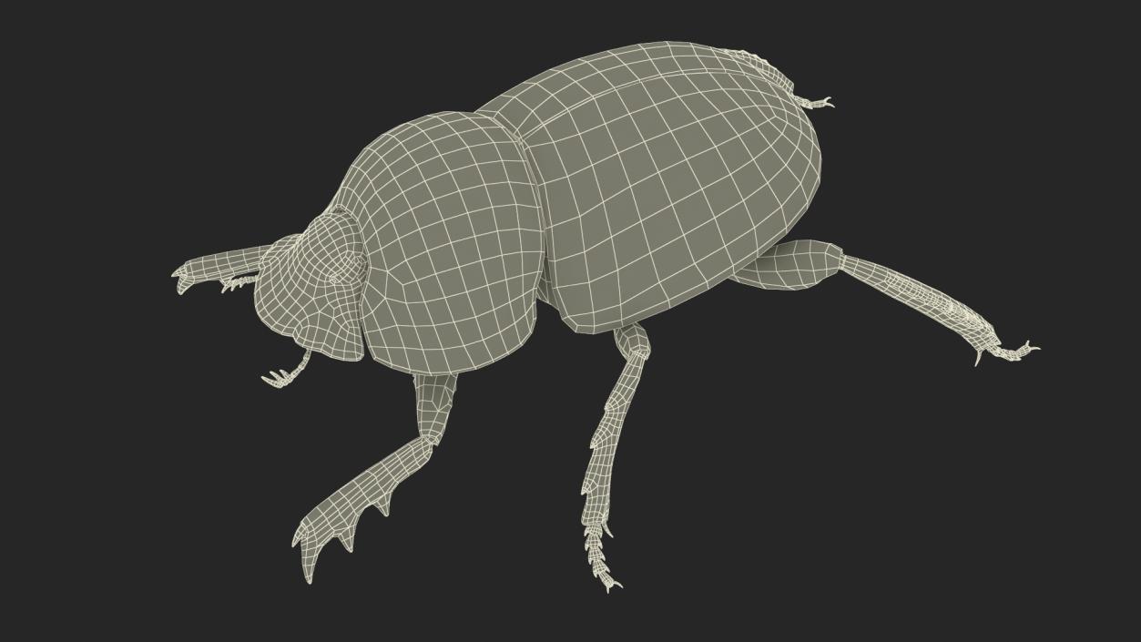 3D Mud Beetle Dirty Rigged model