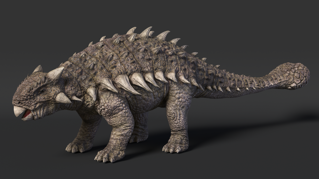 3D model Ankylosaurus from Desert Habitats Rigged