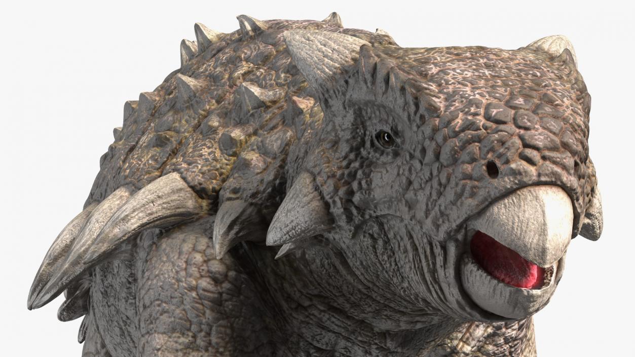 3D model Ankylosaurus from Desert Habitats Rigged