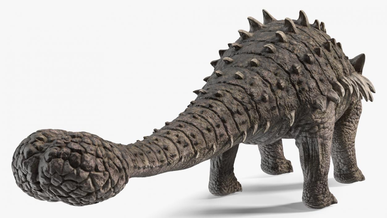 3D model Ankylosaurus from Desert Habitats Rigged