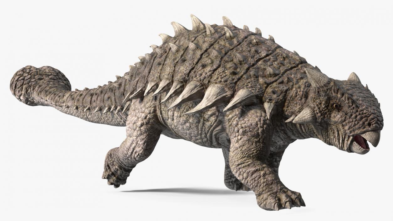 3D model Ankylosaurus from Desert Habitats Rigged