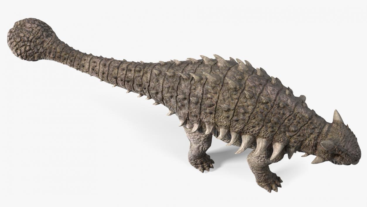 3D model Ankylosaurus from Desert Habitats Rigged